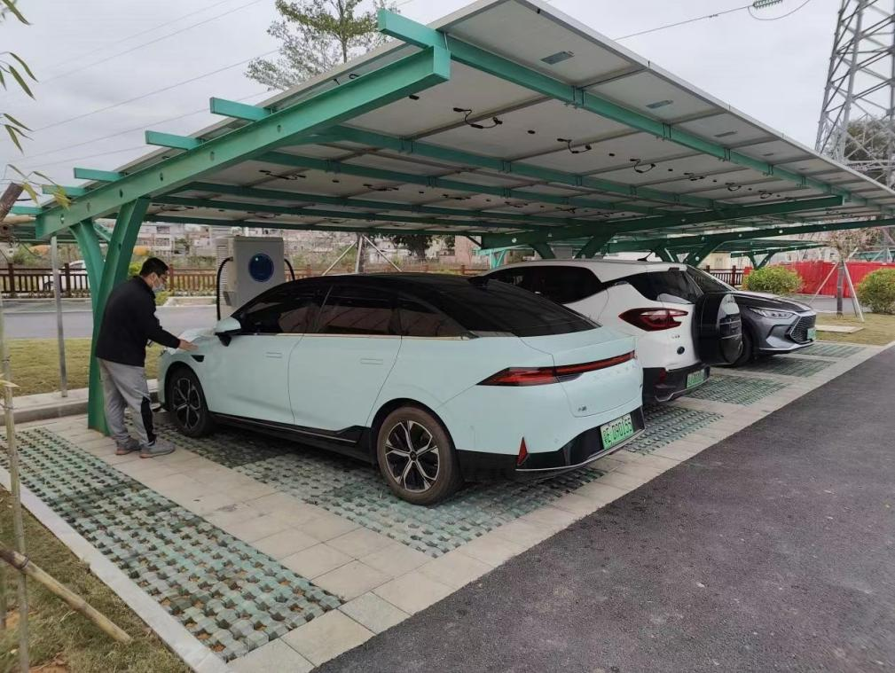 20230310144851_3347 20230310144851_3347